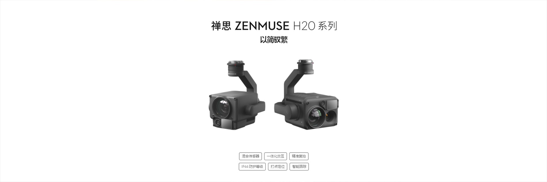 禅思 Zenmuse H20系列.jpg